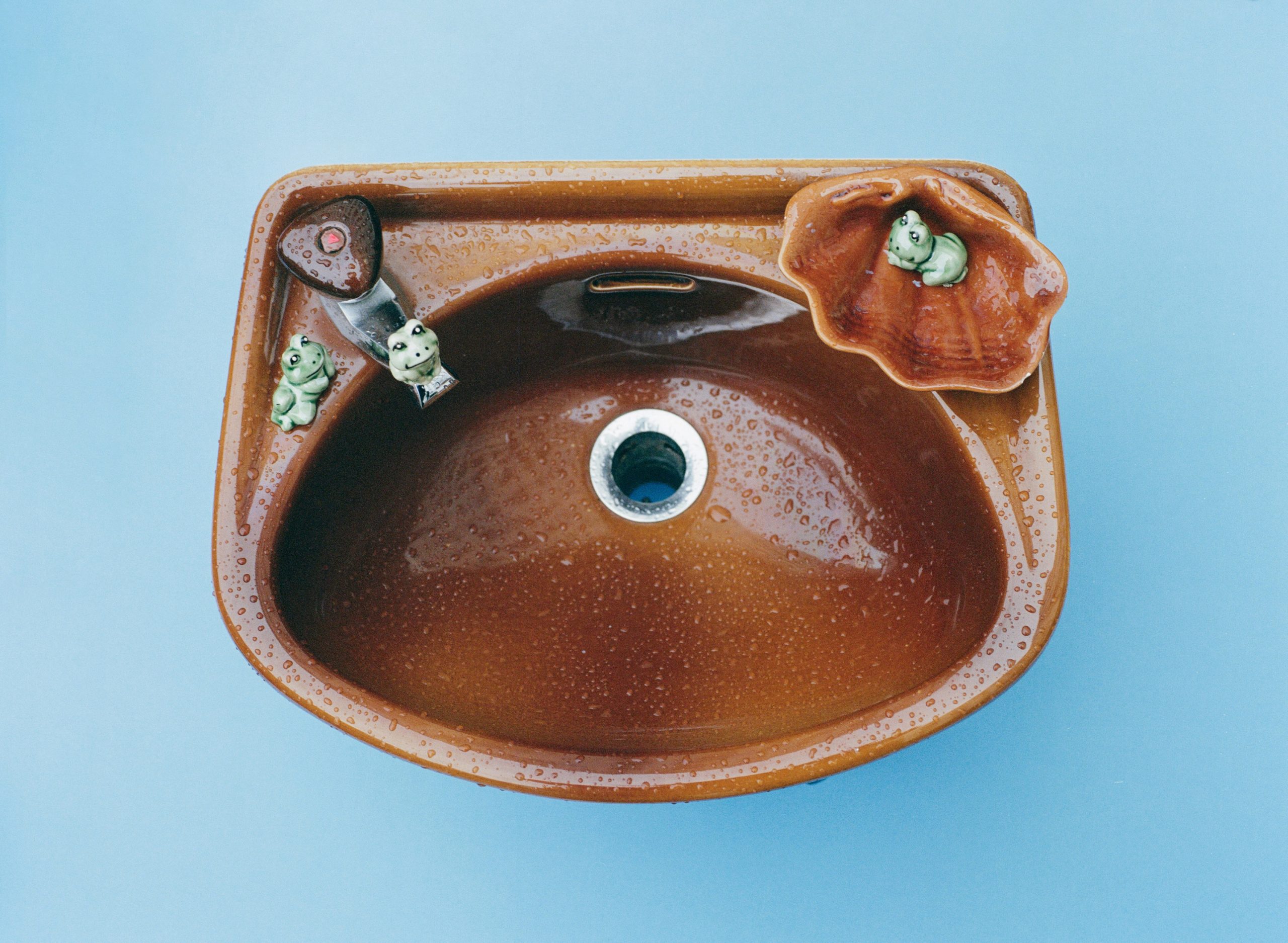 Camille Lichtenstern  